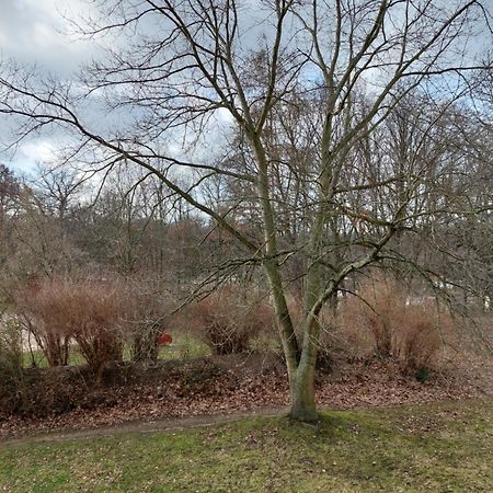 Ruheort Apartman Zwenkau Kültér fotó